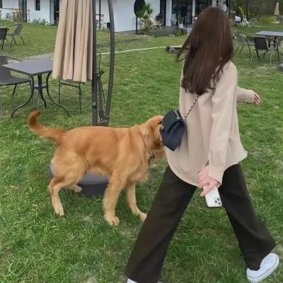 顶级大牌叔比狗